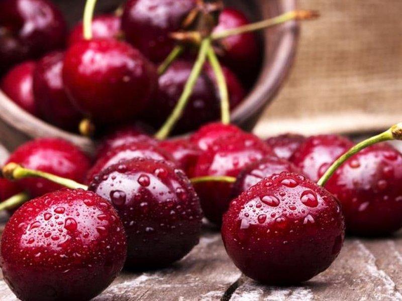 Вишня купить саженцы из питомника в Павловском Посаде